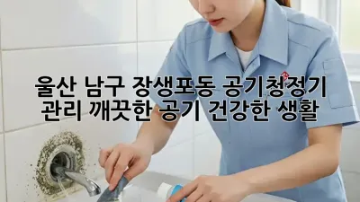 울산 남구 장생포동 공기청정기 관리: 깨끗한 공기, 건강한 생활!